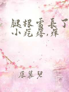 腿根处长了一片小疙瘩,痒