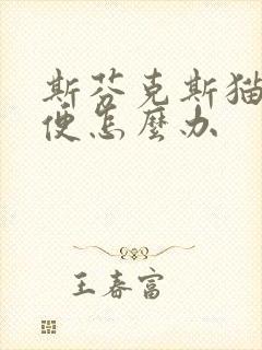 斯芬克斯猫拉软便怎么办