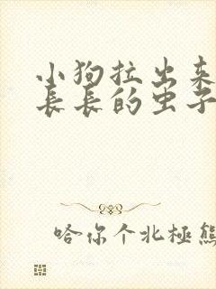 小狗拉出来白色长长的虫子怎么办