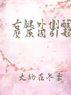 右腿外侧酸痛什么原因引起的女性