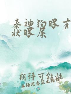 泰迪狗眼有黄脓状眼屎