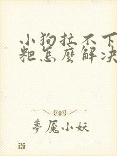 小狗拉不下来粑粑怎么解决