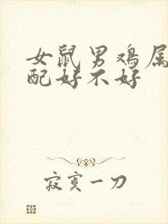 女鼠男鸡属相婚配好不好