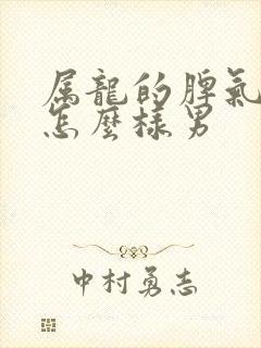 属龙的脾气性格怎么样男