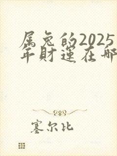 属兔的2025年财运在哪方位
