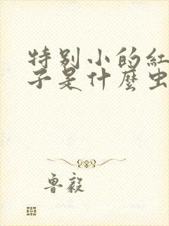 特别小的红色虫子是什么虫子