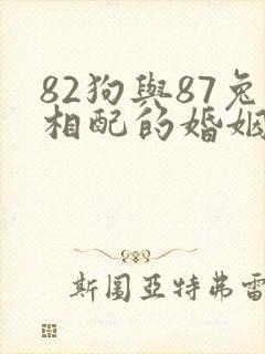 82狗与87兔相配的婚姻如何