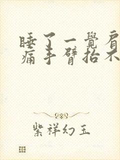 睡了一觉肩膀疼痛手臂抬不起来什么原因