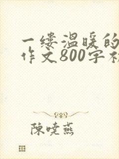 一缕温暖的阳光作文800字初中