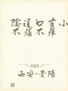 阴道口有小肉点不痛不痒