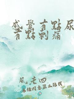 感觉有点尿不尽有点刺痛