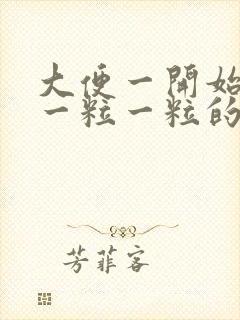 大便一开始都是一粒一粒的后面就好了