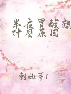 半夜胃酸想吐是什么原因