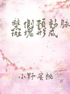 双侧颈动脉粥样斑块形成