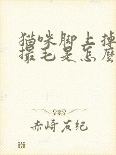 猫咪脚上掉了一撮毛是怎么回事