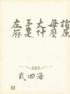 左手大母指尖发麻是什么原因