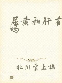 尿黄和肝有关系吗