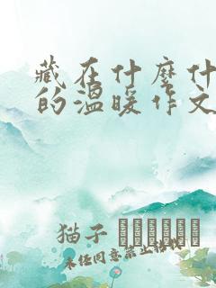 藏在什么什么里的温暖作文800字