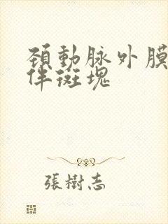 颈动脉外膜增厚伴斑块