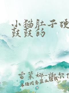 小猫肚子硬硬的鼓鼓的