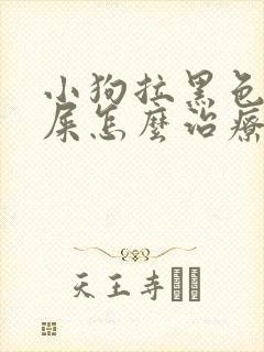 小狗拉黑色的稀屎怎么治疗