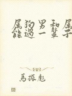 属狗男和属龙女能过一辈子吗