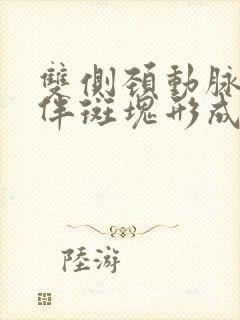 双侧颈动脉毛糙伴斑块形成