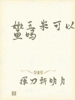 嫩玉米可以钓青鱼吗