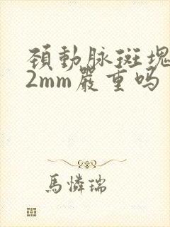 颈动脉斑块2.2mm严重吗