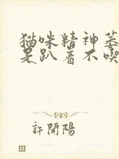 猫咪精神萎靡总是趴着不吃东西