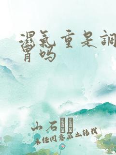 湿气重是调理脾胃吗