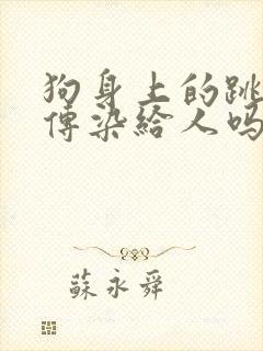 狗身上的跳蚤会传染给人吗