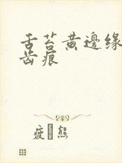 舌苔黄边缘红有齿痕