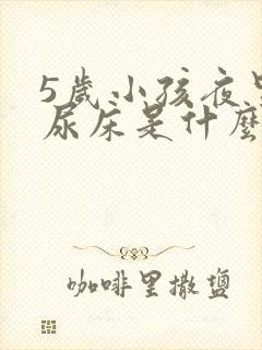 5岁小孩夜里总尿床是什么原因