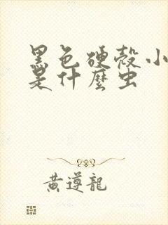 黑色硬壳小虫子是什么虫