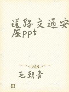 道路交通安全讲座ppt