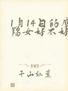 1月14日的摩羯女好不好