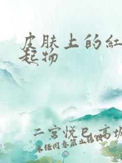 皮肤上的红色凸起物