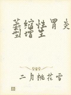 萎缩性胃炎 异型增生