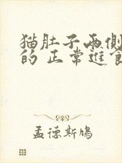 猫肚子两侧鼓鼓的 正常进食