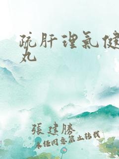 疏肝理气健脾胃丸