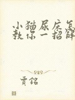 小猫尿床怎么办教你一招解决