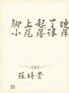 脚上起了硬硬的小疙瘩很痒