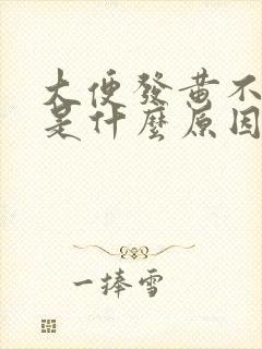 大便发黄不成形是什么原因引起的