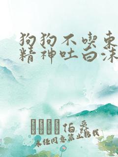 狗狗不吃东西没精神吐白沫