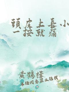 头皮上长小疙瘩一按就痛