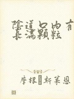 阴道口内有肉球长满颗粒