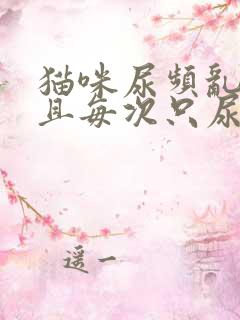 猫咪尿频乱尿而且每次只尿一点