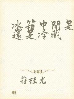 冰箱中间是冷冻还是冷藏