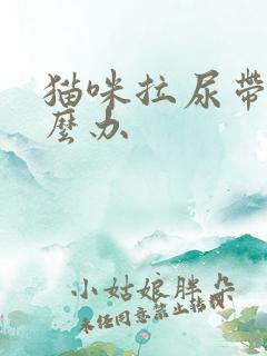 猫咪拉尿带血怎么办